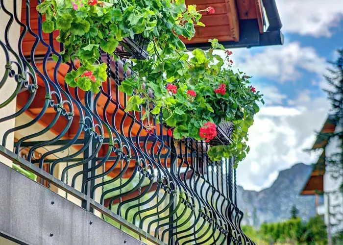 U Lapow 3* Kościelisko